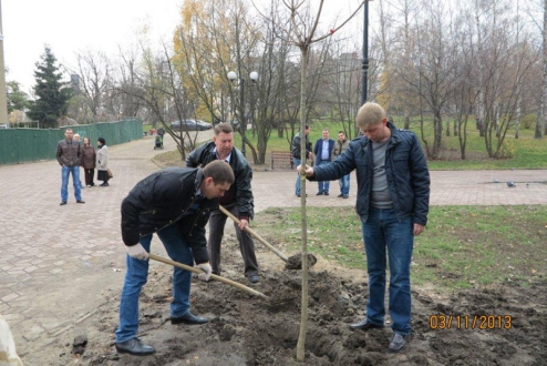 Оновлення зеленої зони парку «Орлятко» розпочато